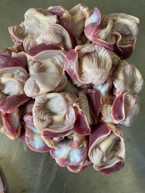 Gizzards