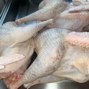 Hardbody Chicken/ Umleqwa