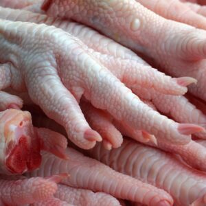 Closeup of raw chicken feet piled on each other