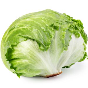 Iceberg lettuce