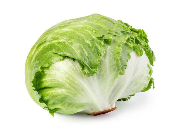 Iceberg lettuce
